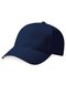 Pro-Style Heavy Brushed Cotton Cap