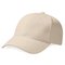 Pro-Style Heavy Brushed Cotton Cap
