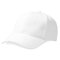 Pro-Style Heavy Brushed Cotton Cap