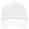 Low Profile 6 Panel Dad Cap