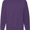 Classic Raglan Sweat