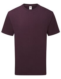 Pure Cotton T