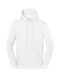 Fruit of the Loom ICONIC 250 Hooded Sweat