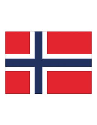 Fahne Norwegen