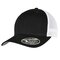 110 Mesh 2-Tone Cap