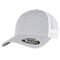 110 Mesh 2-Tone Cap
