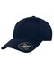 Delta Snapback