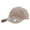 FLEXFIT Low Profile Cotton Twill
