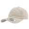 FLEXFIT Low Profile Cotton Twill
