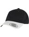 FLEXFIT Low Profile 2-Toned Classic Cap