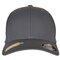 Flexfit Recycled Polyester Cap