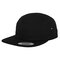 FX7005 FLEXFIT Classic Jockey Cap