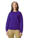 Softstyle® Midweight Fleece Adult Crewneck Sweatshirt