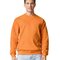 Gildan Softstyle® Midweight Fleece Adult Crewneck Sweatshirt