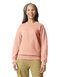 Softstyle® Midweight Fleece Adult Crewneck Sweatshirt