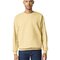 Softstyle® Midweight Fleece Adult Crewneck Sweatshirt