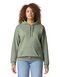 Softstyle® Midweight Sweat Adult Hoodie