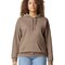 Softstyle® Midweight Sweat Adult Hoodie