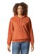 Gildan Softstyle® Midweight Sweat Adult Hoodie