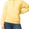 Gildan Softstyle® Midweight Sweat Adult Hoodie