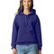 Softstyle® Midweight Sweat Adult Hoodie