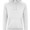 HRM903 Unisex Premium Raglan Hoody