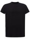 Curves T-Shirt Lady