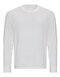 JT019 Just Ts Oversize 100 Long Sleeve T
