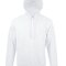 Unisex Hooded Sweat-Shirt Snake