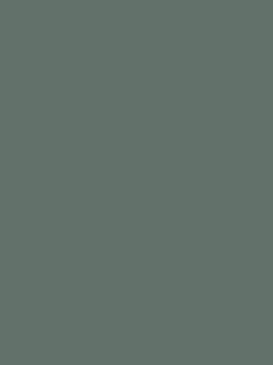 Polyneon 40 Green (5.000 m)