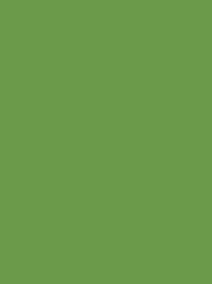 Polyneon 40 Green (5.000 m)