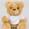 Bear in a T-Shirt