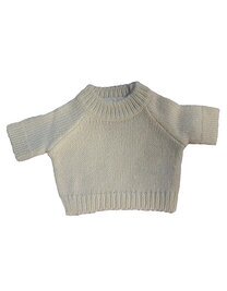 Teddy Jumper