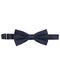 Pre-Tied Bow Tie Teddy