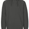 Men`s Hoodie