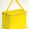 Kühltasche Celsius