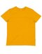 Men's Essential Organic T