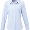 Ladies` Microcheck (Gingham) Long Sleeve Cotton Shirt