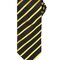 Sports Stripe Tie