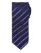 Sports Stripe Tie