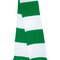 Team Scarf