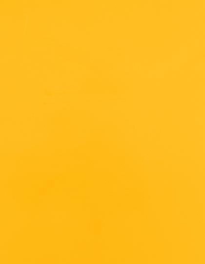 CAD-CUT® SportsFilm