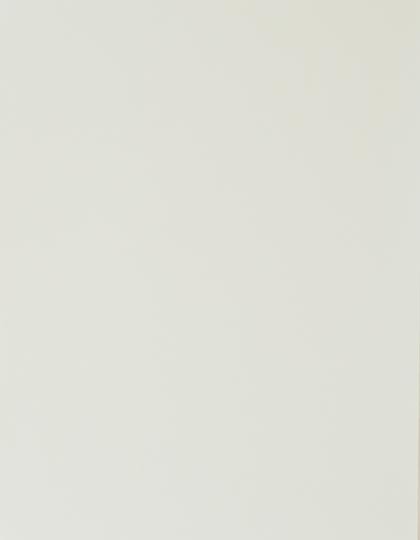 CAD-CUT® Silicone 100