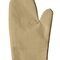 Oven Mitt